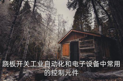 蹺板開關(guān)工業(yè)自動化和電子設(shè)備中常用的控制元件