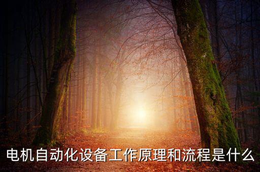 線圈繞線全自動(dòng)化設(shè)備有哪些,直線電機(jī)關(guān)鍵生產(chǎn)設(shè)備有哪些?