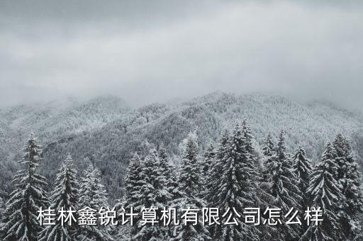 桂林鑫銳計算機有限公司怎么樣