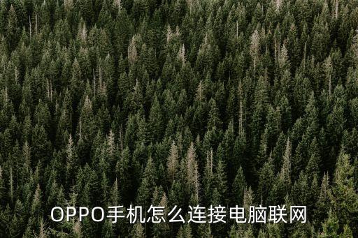 OPPO手機怎么連接電腦聯(lián)網(wǎng)
