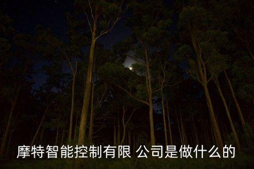 摩特智能控制有限 公司是做什么的