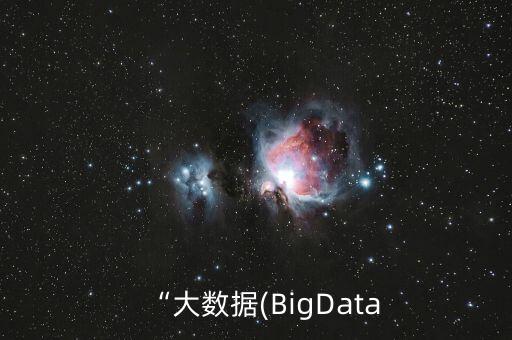 “大數(shù)據(jù)(BigData