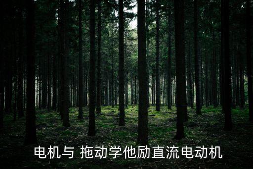  電機(jī)與 拖動學(xué)他勵直流電動機(jī)