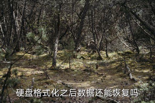 硬盤格式化之后數(shù)據(jù)還能恢復嗎