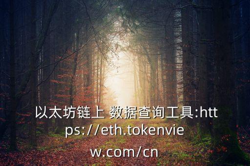 以太坊鏈上 數(shù)據(jù)查詢工具:https://eth.tokenview.com/cn