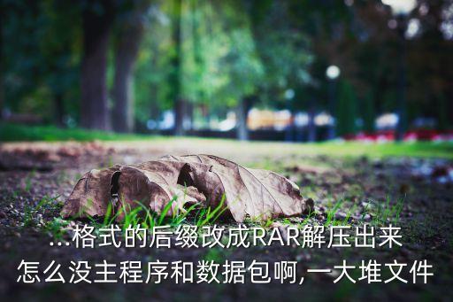 ...格式的后綴改成RAR解壓出來怎么沒主程序和數(shù)據(jù)包啊,一大堆文件