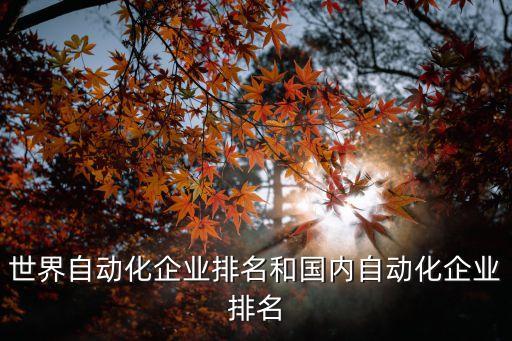 商業(yè)公司自動化比賽有哪些,政府推動商業(yè)自動化四流加此制訂