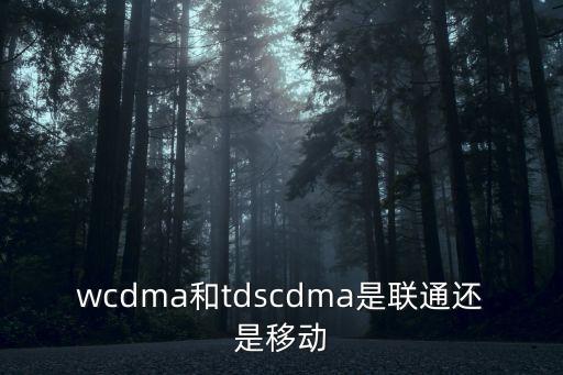 tdscdma,你好!我們都是3g網(wǎng)絡(luò)之一!