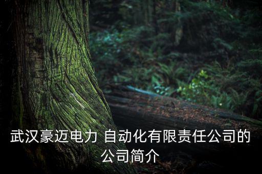 武漢豪邁電力 自動(dòng)化有限責(zé)任公司的公司簡介