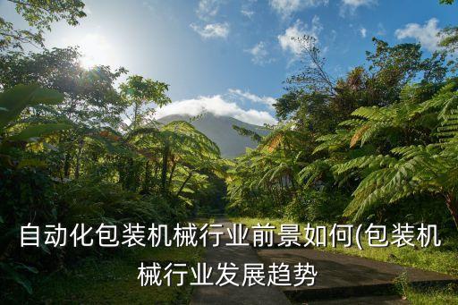 自動化包裝機械行業(yè)前景如何(包裝機械行業(yè)發(fā)展趨勢
