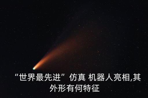 “世界最先進”仿真 機器人亮相,其 外形有何特征
