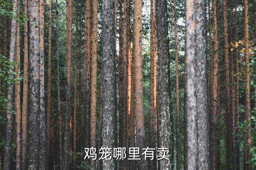 雞籠哪里有賣