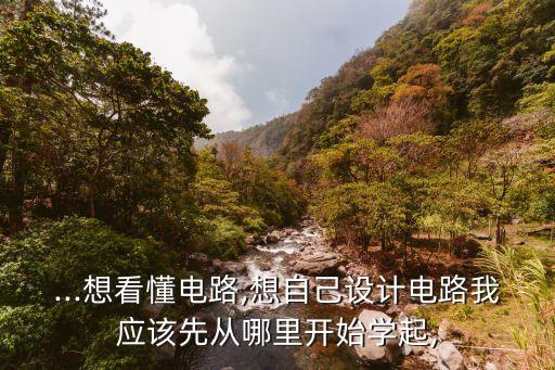 ...想看懂電路,想自己設(shè)計(jì)電路我應(yīng)該先從哪里開始學(xué)起,