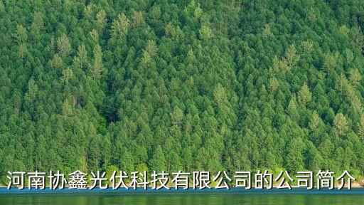 河南協(xié)鑫光伏科技有限公司的公司簡介