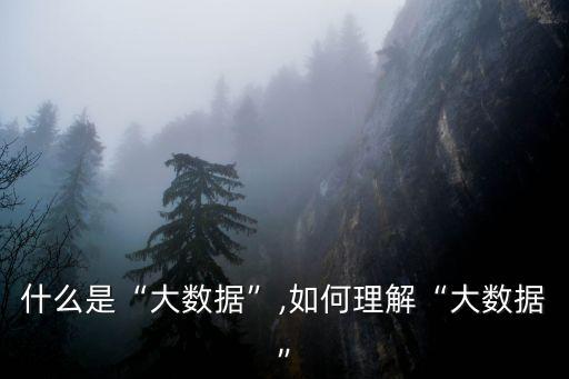 什么是“大數(shù)據(jù)”,如何理解“大數(shù)據(jù)”