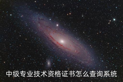 中級(jí)專業(yè)技術(shù)資格證書怎么查詢系統(tǒng)