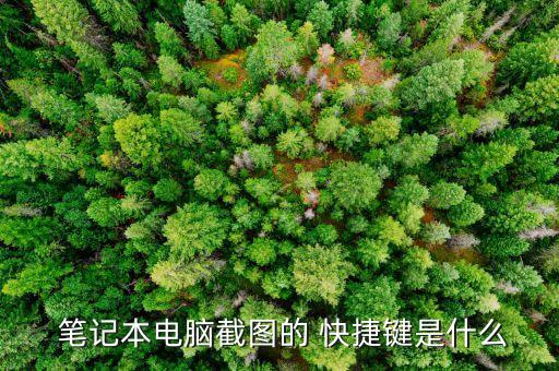  筆記本電腦截圖的 快捷鍵是什么