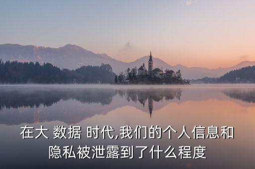 在大 數(shù)據(jù) 時代,我們的個人信息和隱私被泄露到了什么程度
