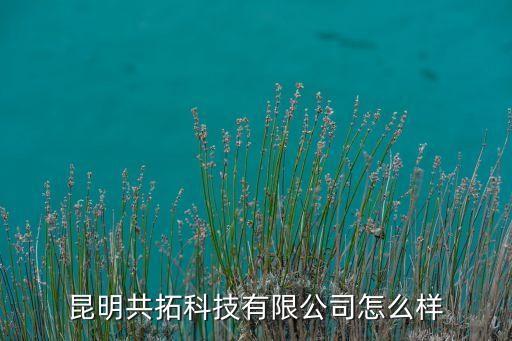 昆明共拓科技有限公司怎么樣