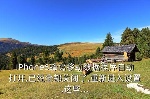 iPhone6蜂窩移動數(shù)據(jù)程序自動打開,已經(jīng)全都關(guān)閉了,重新進入設(shè)置,這些...