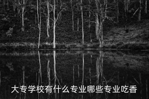 大專學(xué)校有什么專業(yè)哪些專業(yè)吃香