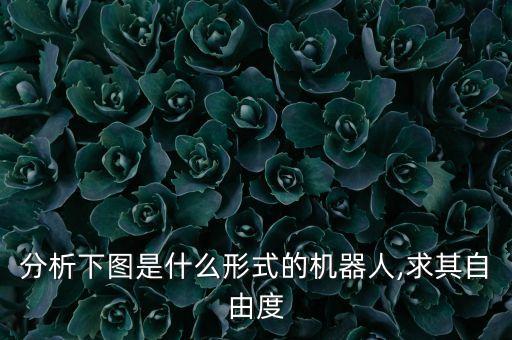 分析下圖是什么形式的機器人,求其自由度
