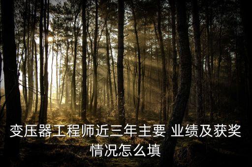 變壓器工程師近三年主要 業(yè)績及獲獎情況怎么填