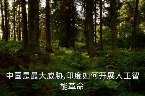 中國是最大威脅,印度如何開展人工智能革命