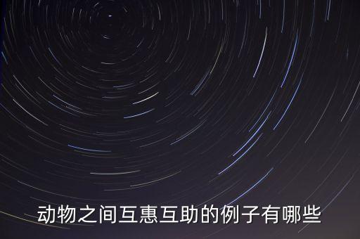動物之間互惠互助的例子有哪些