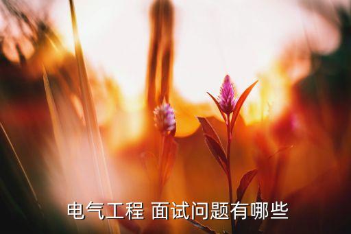 電氣自動化技術(shù)需要面試嗎