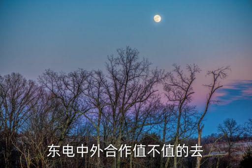 東電中外合作值不值的去