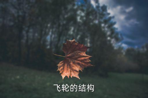 飛輪的結(jié)構(gòu)