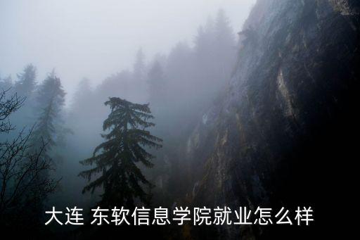 東軟 數(shù)據(jù),東軟數(shù)據(jù)庫(kù)