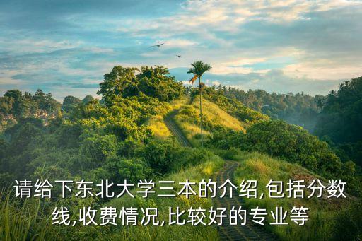 請(qǐng)給下東北大學(xué)三本的介紹,包括分?jǐn)?shù)線,收費(fèi)情況,比較好的專業(yè)等