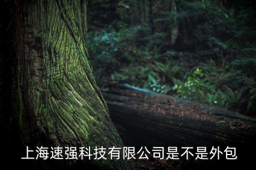  上海速強科技有限公司是不是外包