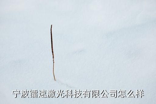 寧波鐳速激光科技有限公司怎么樣