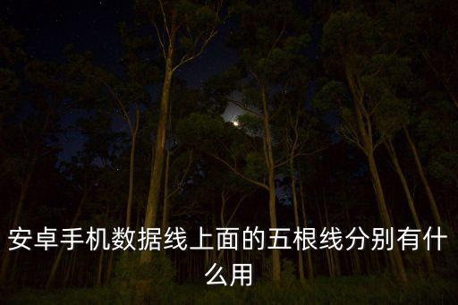 安卓手機(jī)數(shù)據(jù)線上面的五根線分別有什么用