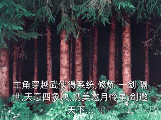 一劍隔世,開(kāi)局天意四象訣和一劍隔世