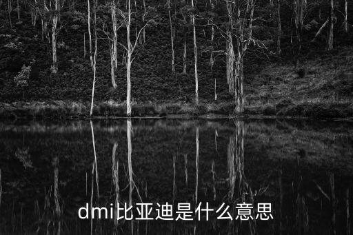 比亞迪簡介,比亞迪新標識含國際化元素?