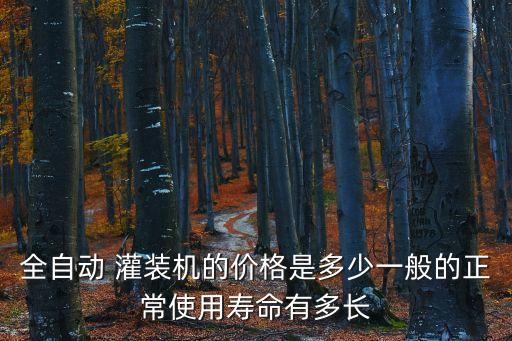 二手啤酒灌裝全自動(dòng)化設(shè)備多少錢