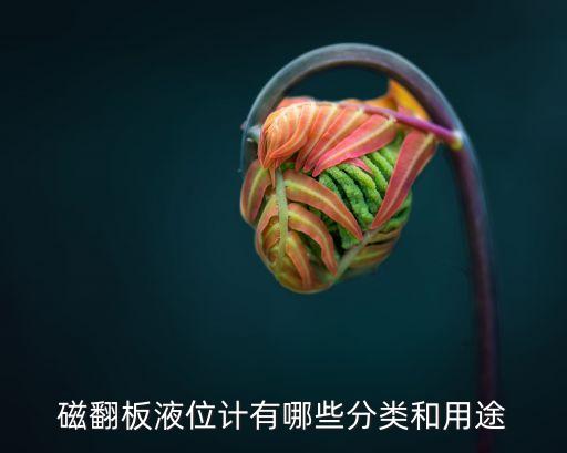 液位計(jì)的種類,液位計(jì)有哪些種類?