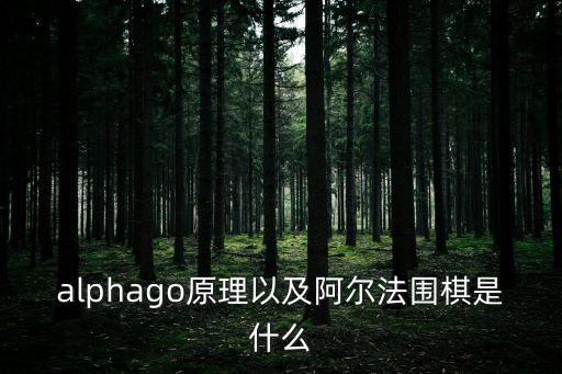 alphago原理以及阿爾法圍棋是什么