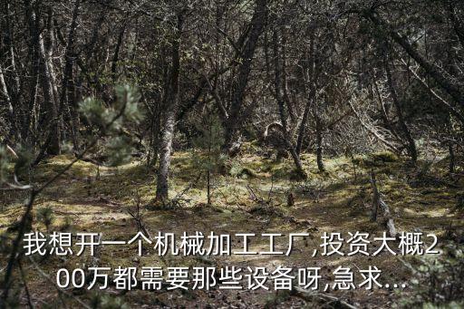 大型車床自動化設(shè)備價格,自動化設(shè)備開發(fā)成本怎么核算?