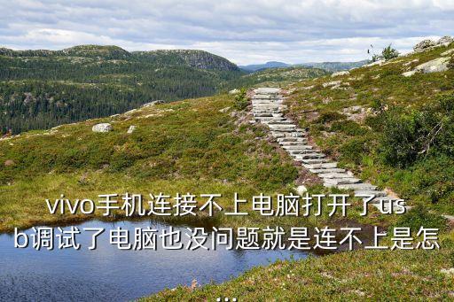 手機(jī)用數(shù)據(jù)線連不上電腦怎么辦,手機(jī)連不上電腦怎么辦?