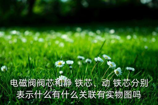電磁閥閥芯和靜 鐵芯、動 鐵芯分別表示什么有什么關(guān)聯(lián)有實(shí)物圖嗎