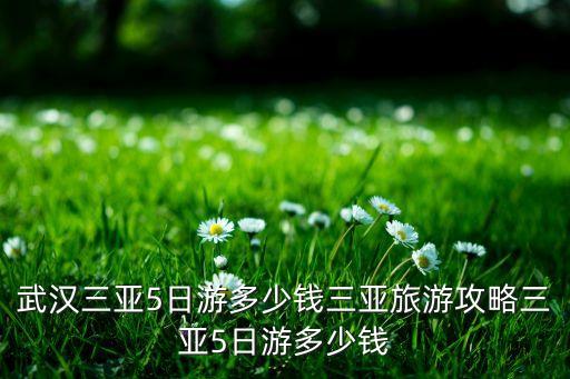 武漢三亞5日游多少錢三亞旅游攻略三亞5日游多少錢