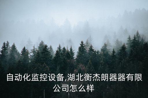湖北自動(dòng)化監(jiān)控設(shè)備,湖北衡杰朗器器有限公司怎么樣?