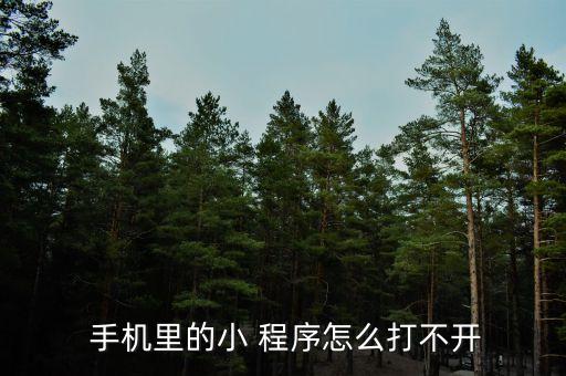 小程序 手機無數據,微信小程序換手機登錄為什么會沒有數據