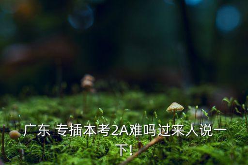  廣東 專插本考2A難嗎過來人說一下!