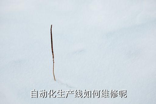 自動(dòng)化設(shè)備維修表格怎么做,如何做自動(dòng)化設(shè)備維保?